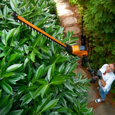 Image showing  20 in. Hedge Trimmer Attachment for WG349 Pole Saw and WG252 Pole Hedge Trimmer