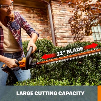 Image showing  22 in. 20V Cordless Hedge Trimmer, Battery and Charger Included