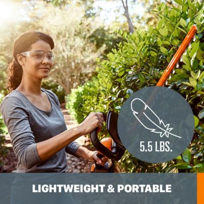 Image showing  22 in. 20V Cordless Hedge Trimmer, Battery and Charger Included