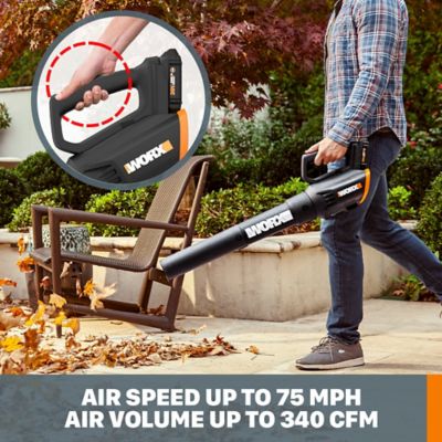 Image showing  12 in. 20V Straight Shaft Cordless String Trimmer/Edger and Turbine Blower Combo Kit, Battery and Charger Included