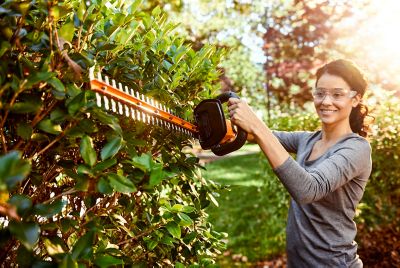 Image showing  WG162 12 in. 20V Straight Shaft Cordless String Trimmer, Blower and Hedge Trimmer Kit, Battery and Charger Included