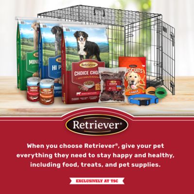 Image showing 6 th Retriever Beef Flavor Jerky Sticks Dog Treats, 38 oz.