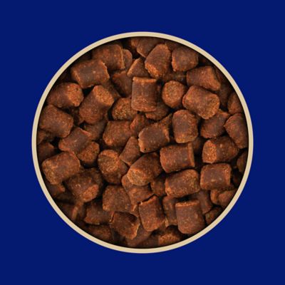 Image showing 5 th Retriever Beef Liver Flavor Dog Training Treats, 20 oz.