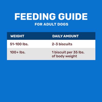 Image showing  Multi-Flavor Dog Treat Biscuits, 15 lb.