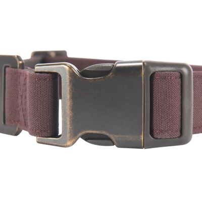 Image showing  Adjustable Nylon Duck Dog Collar