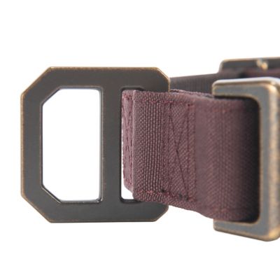 Image showing  Adjustable Nylon Duck Dog Collar