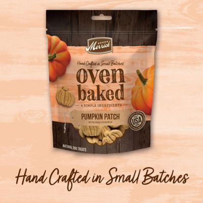 Image showing  Oven Baked Pumpkin Patch Dog Treats