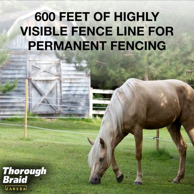 Image showing  600 ft. x 320 lb. Thoroughbraid Heavy-Duty 7-Strand Polybraid