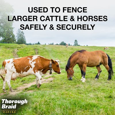 Image showing 7 th Zareba 600 ft. x 320 lb. Thoroughbraid Heavy-Duty 7-Strand Polybraid