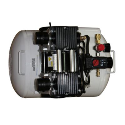 Image showing 5 th California Air Tools 2 HP 10 gal. Ultra Quiet and Oil-Free Steel Tank Air Compressor with Auto Drain Valve, 125 PSI