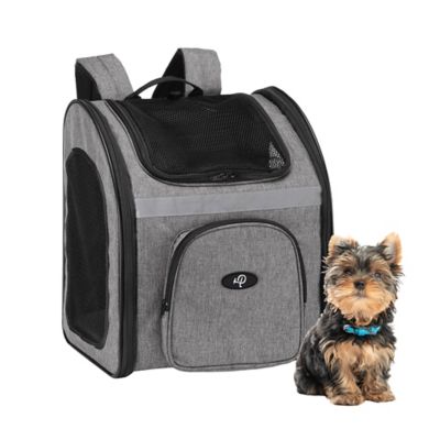 Petique The Backpacker Pet Carrier, Glacier