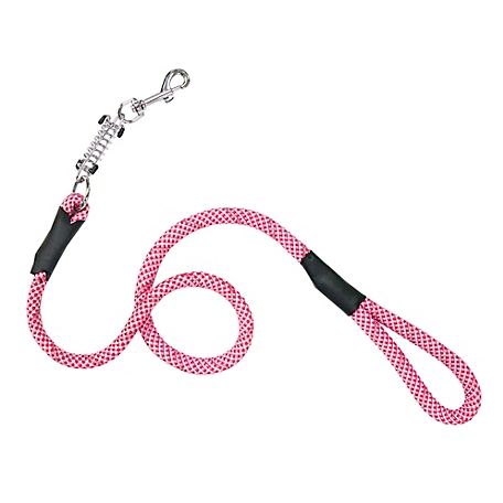 Petique Reflective Dog Leash with Shock Absorber