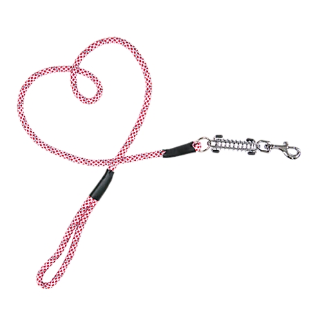 Petique Reflectiful Dog Leash with Shock Absorber