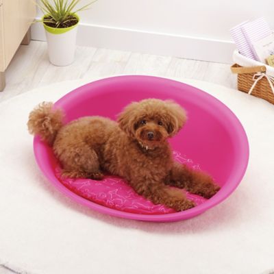 Image showing  Waterproof Oval Plastic Pet Bed
