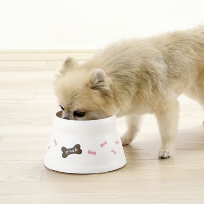 Image showing  0.6-Cup Raised Polypropylene Bone Design Dog Bowl