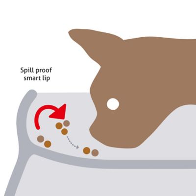 Image showing 5 th Richell 0.6-Cup Raised Polypropylene Bone Design Dog Bowl