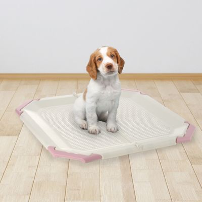 Image showing  Indoor Paw Trax Potty Pad Holder, Pink/Beige