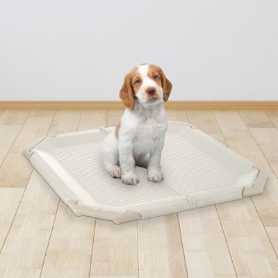 Image showing  Paw Trax Potty Pad Holder, Ivory/Beige
