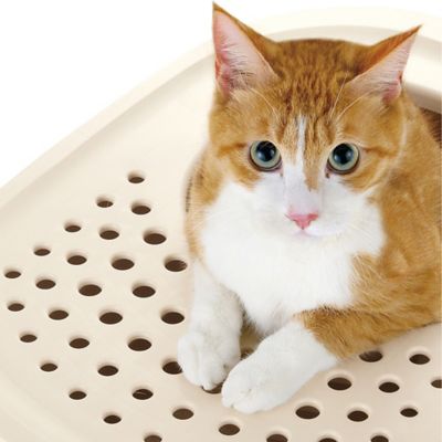 Image showing  Paw Trax Top Entry Cat Litter Box, White