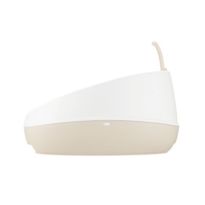 Image showing  Paw Trax Rimmed Cat Litter Pan, White