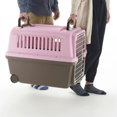 Image showing  E-Z Mobile 1-Door Polyethylene Pet Carrier with Wheels