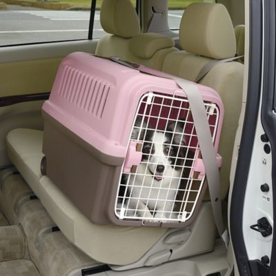 Image showing  E-Z Mobile 1-Door Polyethylene Pet Carrier with Wheels