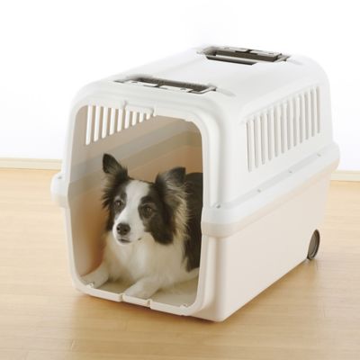 Image showing  E-Z Mobile 1-Door Polyethylene Pet Carrier with Wheels