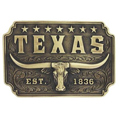 Iconic Longhorn Silver Belt Buckle