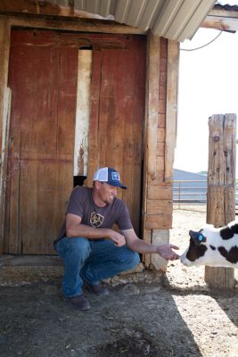 Image showing  Men's Liberty USA Graphic Crew Neck Short-Sleeve T-Shirt