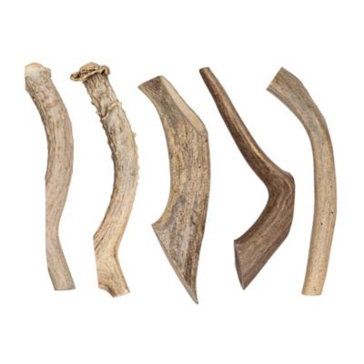 Image showing 5 th Redbarn X Large Whole Deer Antler Dog Chew