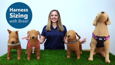 Image showing  Adjustable Dog Harness