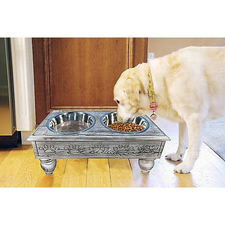 Iconic Pet Sassy Paws Raised Wooden Pet Double Diner with Stainless Steel Bowls for Dogs In Varying Sizes & Colors 
