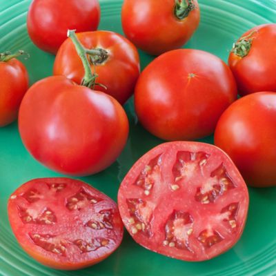 Image showing  19.3 oz. Original Tomato Variety, 2 pk.