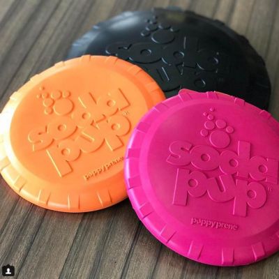 Image showing  Rubber Frisbee Dog Toy