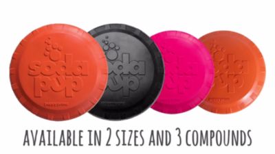 Image showing  Rubber Frisbee Dog Toy