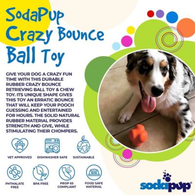 Image showing  Crazy Bounce Dog Chew Ball