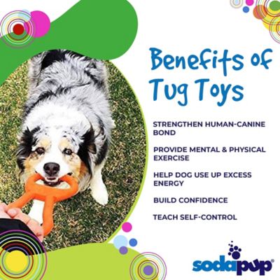 Image showing  Pop Top Rubber Can Opener Tug Dog Toy