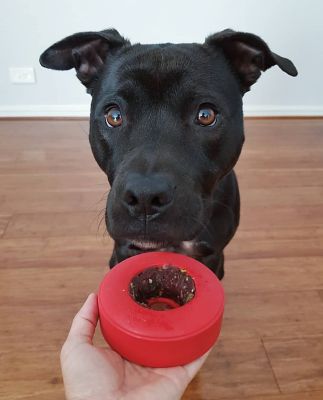 Image showing  Life Ring Treat Dispenser and Chew Interactive Dog Toy
