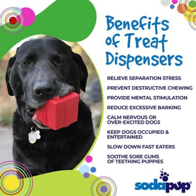Image showing  Gift Box Treat Dispenser and Chew Interactive Dog Toy