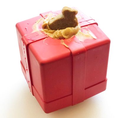Image showing  Gift Box Treat Dispenser and Chew Interactive Dog Toy