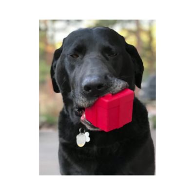 Image showing  Gift Box Treat Dispenser and Chew Interactive Dog Toy