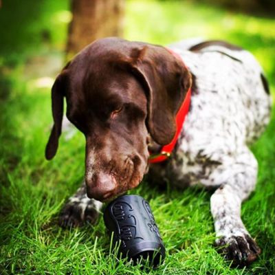 Image showing 3 th SodaPup Magnum Can Treat Dispenser and Chew Interactive Dog Toy