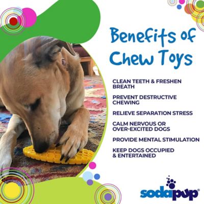 Image showing  Nylon Corn on the Cob Chew and Enrichment Dog Toy