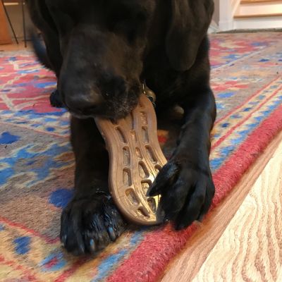 Image showing  Nylon Peanut Chew and Enrichment Dog Toy