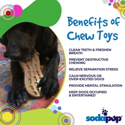 Image showing  Nylon Peanut Chew and Enrichment Dog Toy
