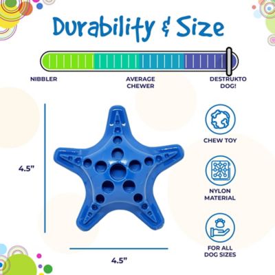 Image showing 5 th SodaPup Nylon Starfish Chew and Enrichment Dog Toy