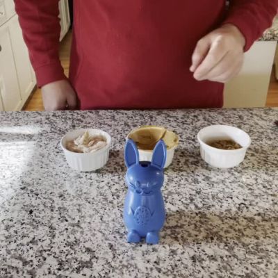 Image showing  Nylon Bunny Chew and Enrichment Dog Toy