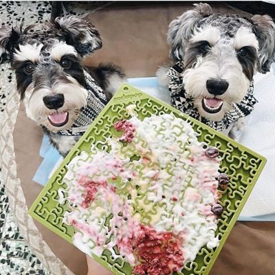 Image showing  Jigsaw Enrichment Dog Lick Mat, Green