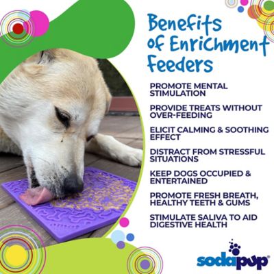 Image showing  Bones Enrichment Pet Lick Mat