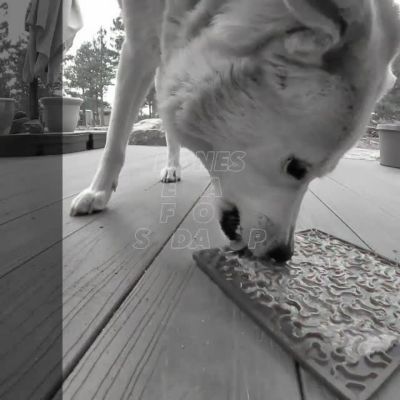 Image showing  Bones Enrichment Pet Lick Mat